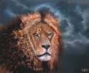 lion-king.jpg
